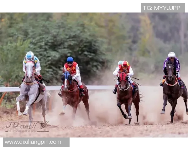 北京飞盘队速度表现分析与提升策略探讨